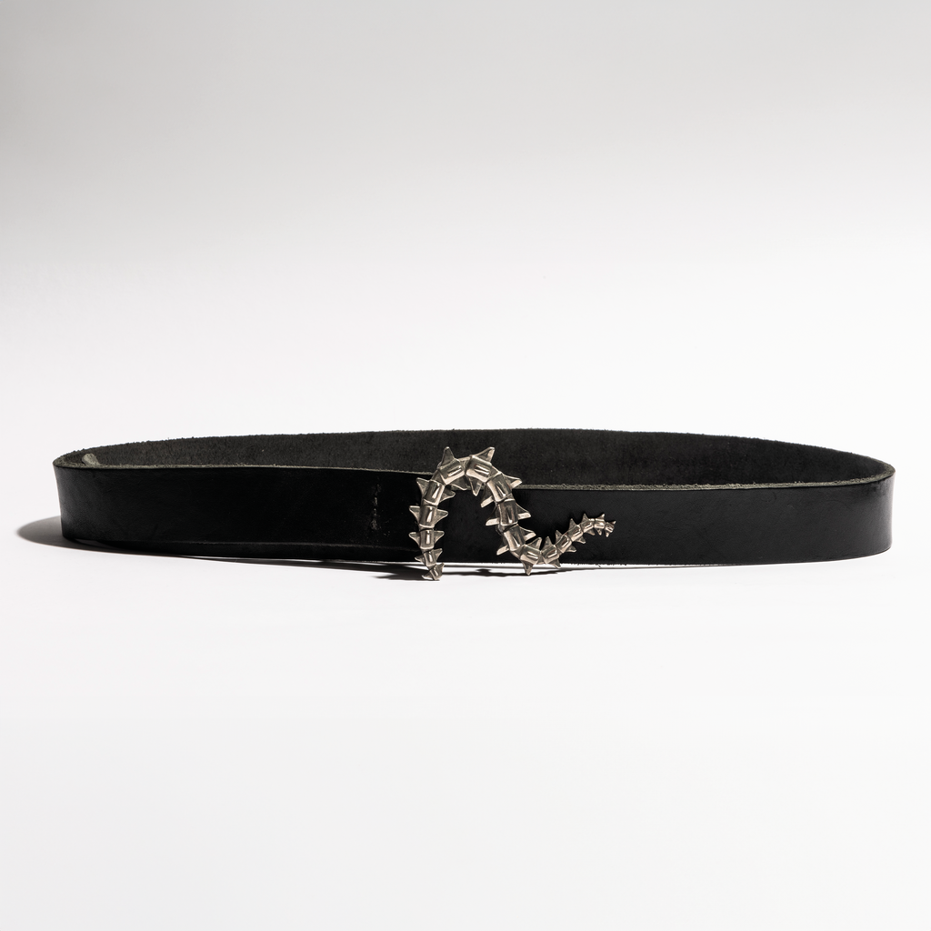 Rayquaza Belt / Sebamakes